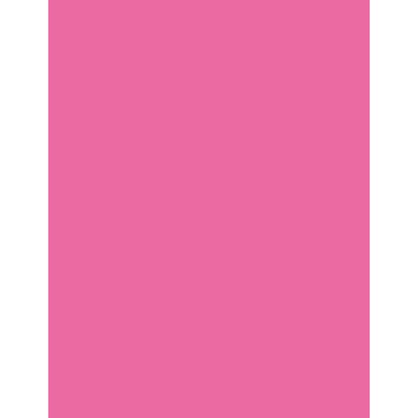 Multi-Purpose Paper, Hot Pink, 8.5in x 11in, PK500
